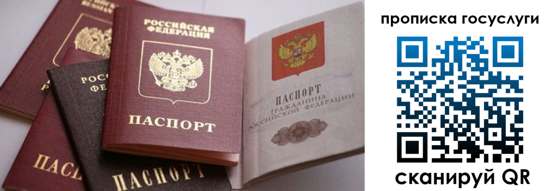 прописка иностранных граждан в Павловском Посаде