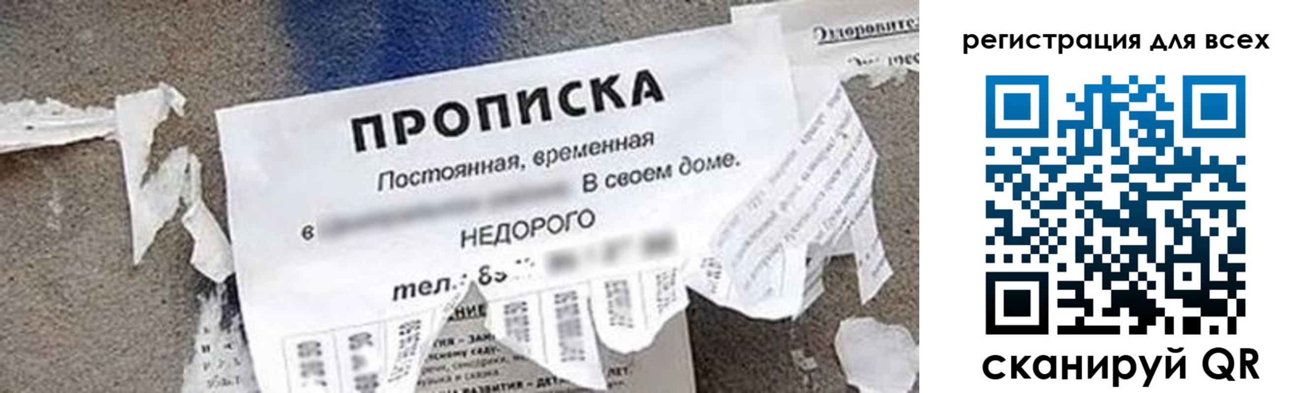 прописка поиск в Павловском Посаде